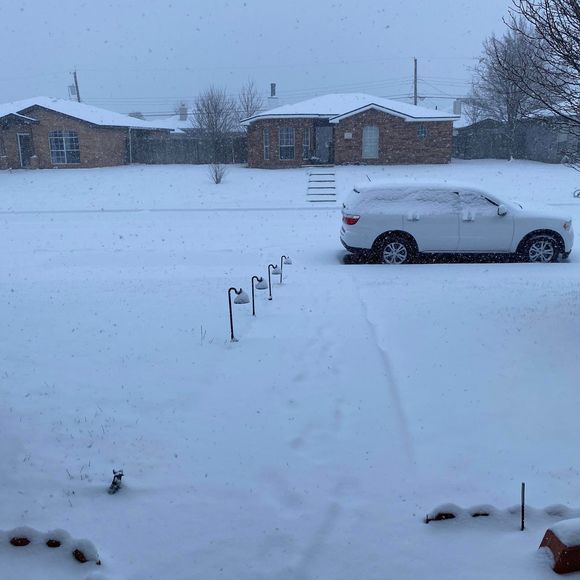 Meet your Posher, Scott - Picture 1 of 1